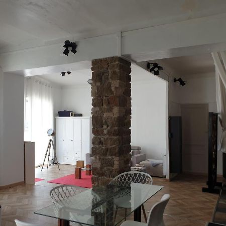 Appartement Loft Ravissant De 60 M2 Nouveau Cannes Dış mekan fotoğraf
